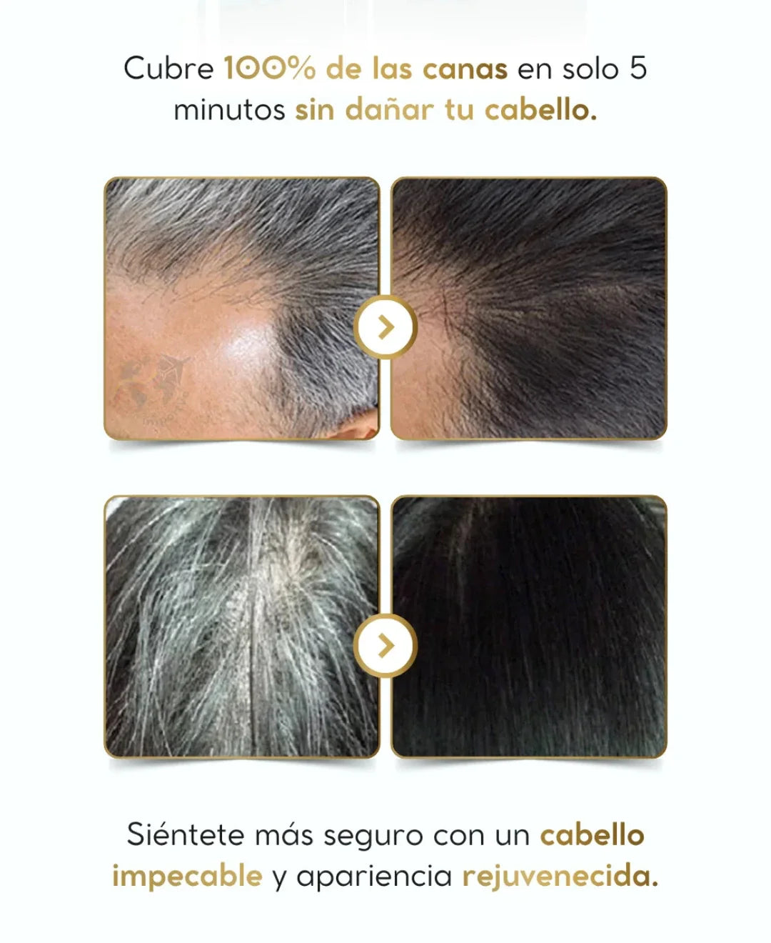 Tinte cubre canas en minutos - 🤩 ¡Adiós Canas en 5 Minutos!